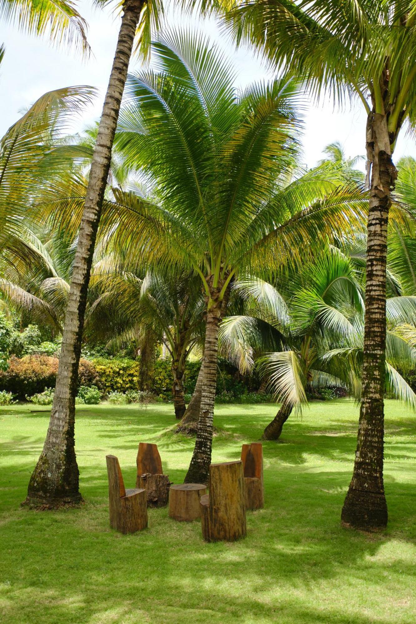 Le Taha'A By Pearl Resorts Motu Tautau Esterno foto